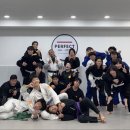 퍼팩트주짓수 이미지
