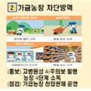 수평농장 아시아투데이