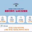 서면사무소 태하출장소 | 고향, 울릉도로 떠나는 길 – 5월의 바다, 그리움, 그리고 집