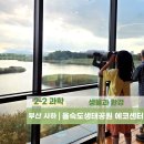 을숙도 생태공원 | 을숙도생태공원 에코센터 놀이터 가을나들이 아이와 실내 갈만한곳