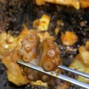 궁중닭갈비쭈꾸미