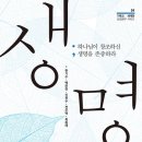 [도서정보] 생명 / 한기수 외 / IVP 이미지