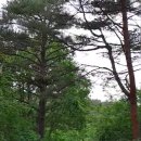 부동산참치공인중개사사무소 이미지