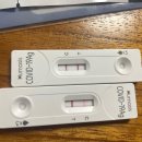 김서영의원 | <코로나><자가 키트 2줄>일요일 선별 진료소/보건소 PCR 검사 후기 약국 코로나 키트 양성/확진