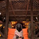 제주특별자치도 동물위생시험소 (동물보호센터) 동물병원 이미지