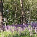 함현공원 이미지