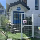 버디그루밍 이미지