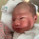 수도약국 | [젤리맘 육아일기🍼] 2Weeks | 생후 8일 -14일 신생아기록 : 모육수유 굴레