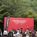 싸움의고수원주 | 원주 마무트 마운틴레이스 15K 후기｜상반기 마지막 대회의 기록, 그리고 하반기 레이스 준비