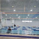 다가온 수영장 | 김포 다가온 수영장, 꿈꾸던 수영의 시작! 🏊‍♀️💚
