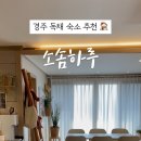 소솜,하루 이미지