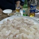 [영주맛집] 택지 현지인 추천 활어 횟집 바다축제회직판장