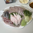 노량진대부도 | [노량진 횟집] 여름철 보양식 민어회 어디서 먹지? 노량진수산시장 대부도 회포장