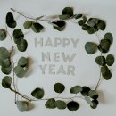 솔마루공인중개사사무소 이미지