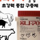 서면다정동물약국 이미지