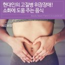 소화에 좋은 음식 이미지