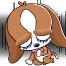 앤멀티샵 이미지