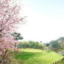 마이다스밸리 청평 골프 클럽 | 설악 IC와 가까운 청평 마이다스밸리cc 회원권 라운딩