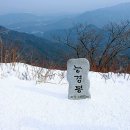 (주)유진여행사 이미지