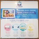 속초 여행 맛집 청초수물회
