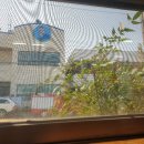 축동면사무소 이미지