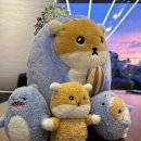 Happy moments Daum카페
