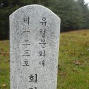 회안대군묘 간산기 이미지