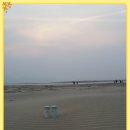 갯벌생태 체험장 이미지