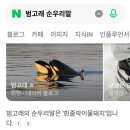 범고래 - 기장군 연화1길 53 | 범고래