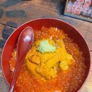 오사카 구로몬시장 맛집 이라는 타치즈시 고카이 우니동 솔직후기