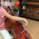 첼로(초등학교 2~6학년) 이미지