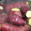 퓨어필라테스 이미지