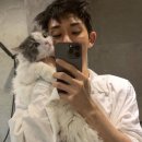 코드 쿤스트 카카오 검색결과