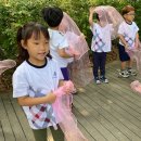 구립기리울어린이집