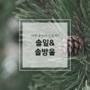 솔잎테크