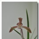 전라북도청 대강당 이미지