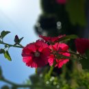 북평터미널(남창정류소) 이미지