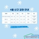 밸런스 라인댄스 이미지