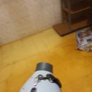 라임동물약품 이미지