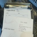 헤어칼리아 이미지