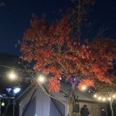 수락베이스캠프 이미지