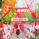 힐링에세이+ 숲(영흥수목원) | 경기도 실내 데이트 가볼만한곳 아이와 수원 영흥수목원 볼거리