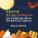 베스트그린 네이버블로그
