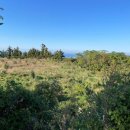 회천동초등학교 이미지