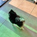 CU 서천점 이미지