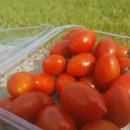 박종우농장 이미지