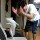 공영피아노학원 | 이수역 성인피아노 추천, 포우피아노클래식 직장인 취미 피아노 첫 수업 후기