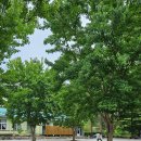 원주배드민턴전용경기장 화장실 | 원주 마루노리캠핑장 - 폐교캠핑장