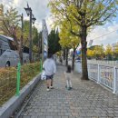 올림픽기념관 화장실 | &lt;문화축제 / 전북 고창 대표 가을축제 제52회 2025 고창모양성제 축제 첫 번째 방문 후기&gt;