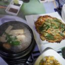 국제애견 이미지